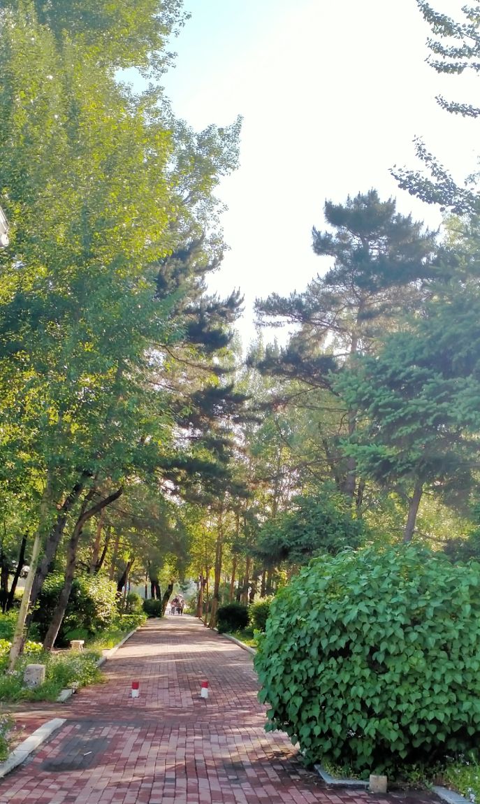 长春师范大学——竟然这么美