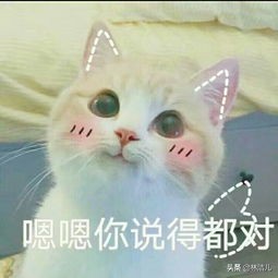 光有三庭五眼不是美女？2020最新审美标准，连王祖贤杨幂都不符合