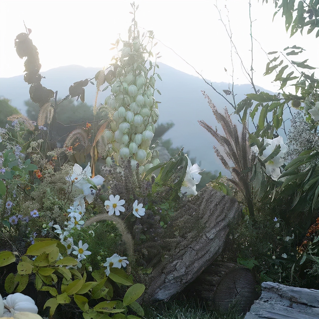 又野又美的“荒野风”花艺，太上头了