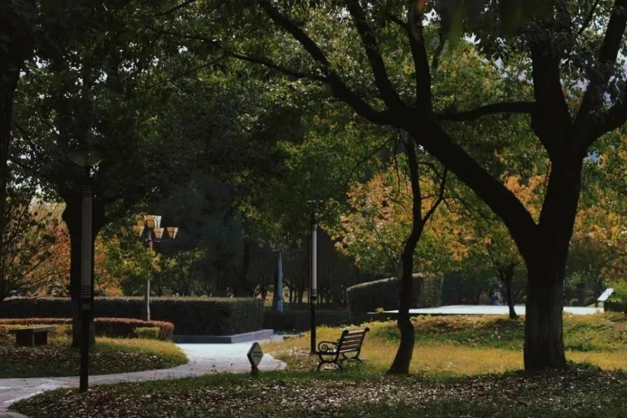 绝色！原来，湖北“最美”秋景竟藏在这所大学里