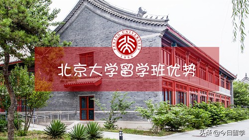 北大考研补习：北京大学留学班有什么优势？