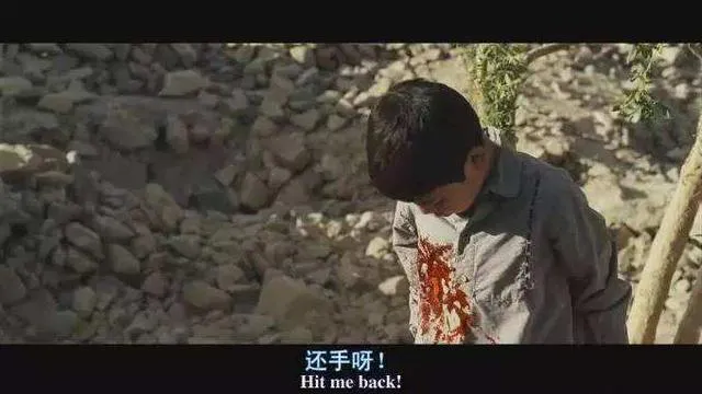 追风筝的人简介（追风筝的人故事梗概分享）