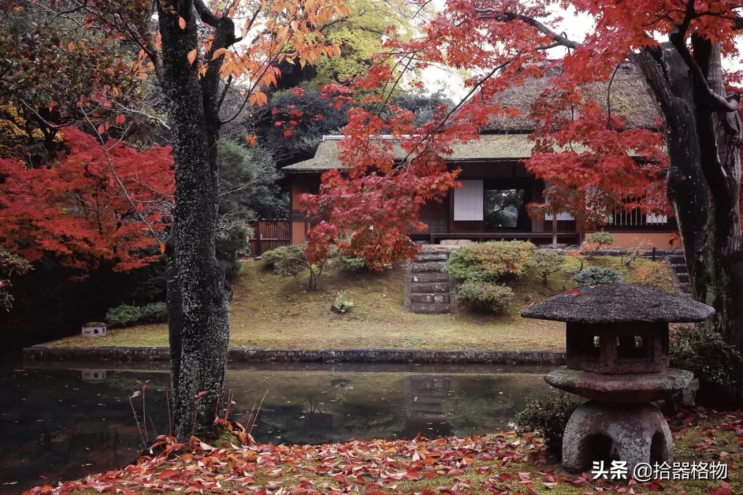 茶室 ： 虚 空 之 所