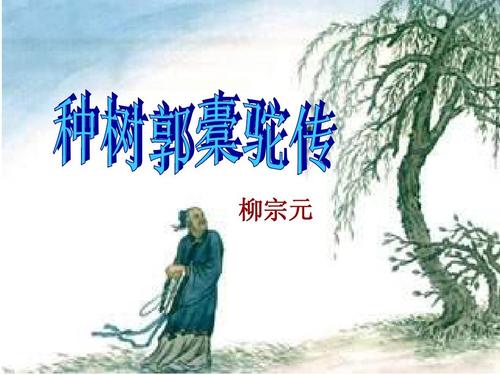 文言文‖《种树郭橐驼传》原文及译