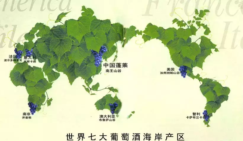 长城海岸葡萄酒测评:“温润柔雅”,品出海岸的味道