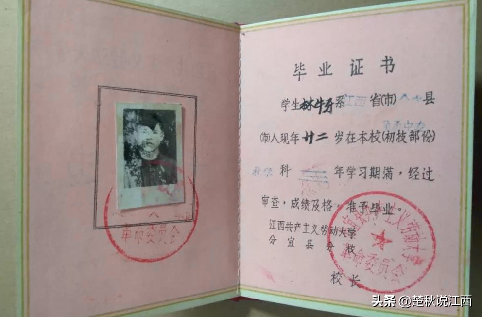 江西青春往事：赣鄱大地上的共产主义大学