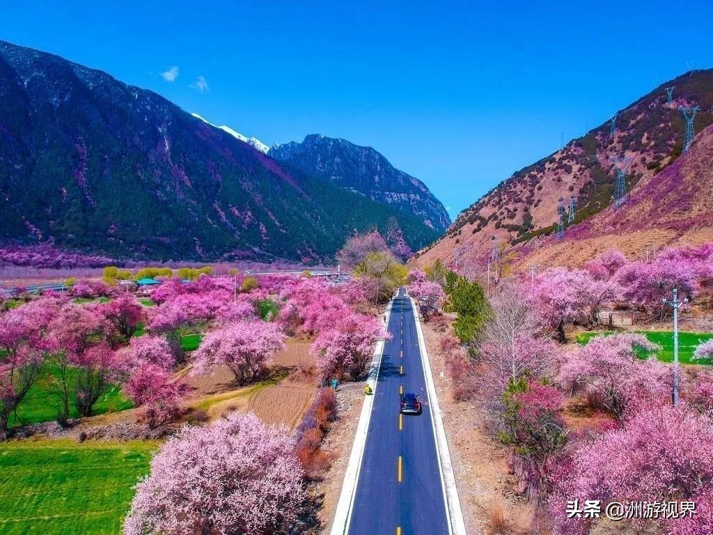 群山環繞的林芝,地形獨特,風景秀麗且自然資源豐富多彩,有著