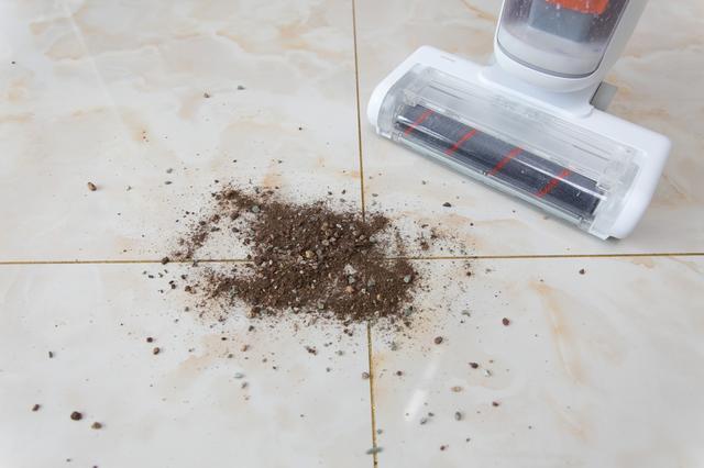 能吸水的吸尘器？不，是全能的洒哇地咔飞狗无线地面清洗机