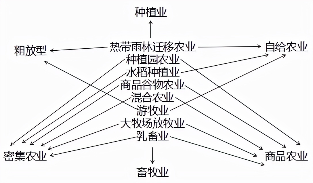 大牧場(chǎng)放牧業(yè),大牧場(chǎng)放牧業(yè)和乳畜業(yè)的區(qū)別