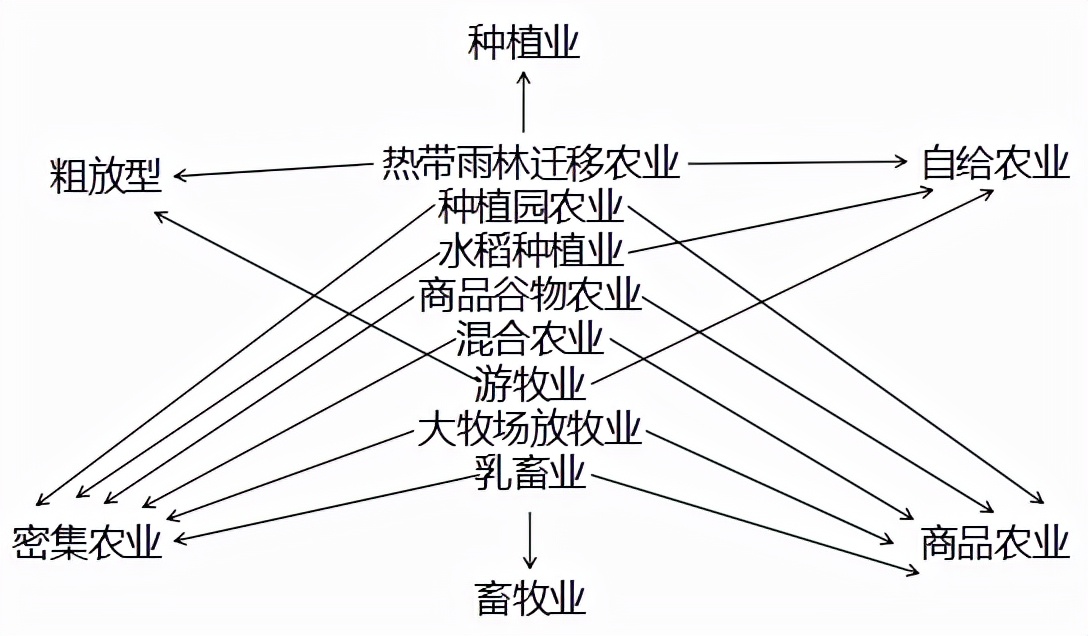 大牧场放牧业,大牧场放牧业和乳畜业的区别