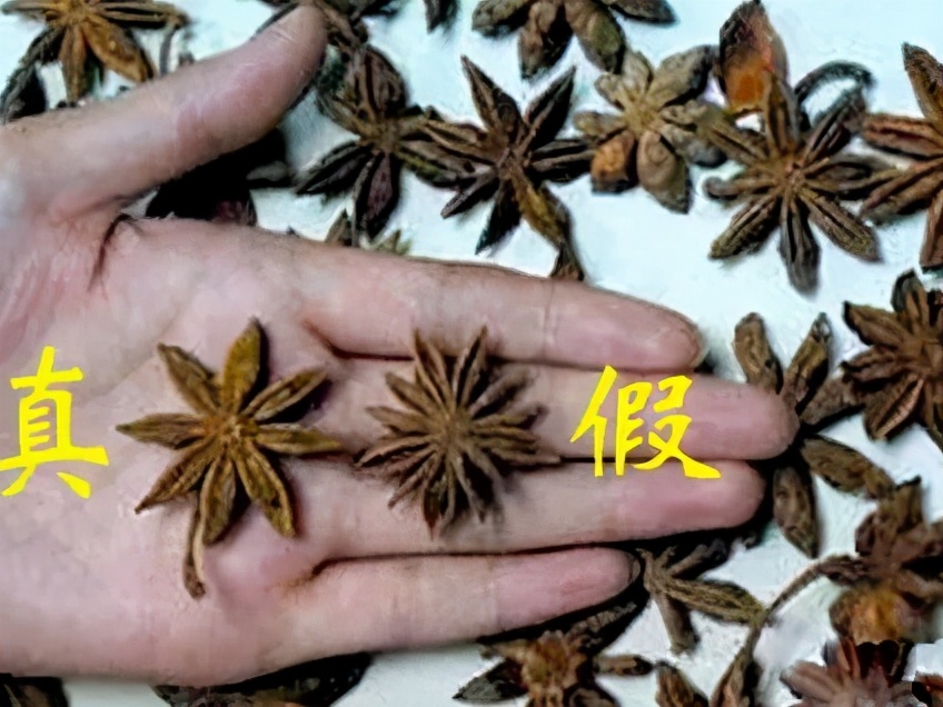 毒八角图片(同样是八角) - 赤虎壹号