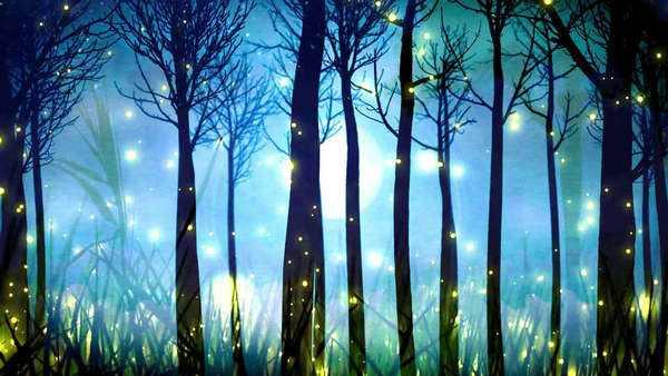 夏天的夜晚多么宁静多么美丽_宁静静的夏天 - 成语词句网