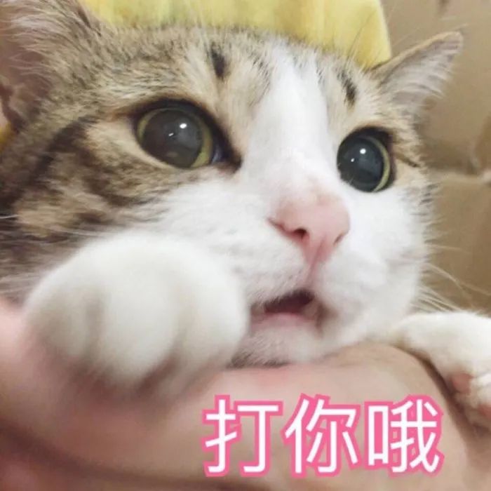 别再用Coco当英文名了！那些你以为好听的名字，其实很黑暗