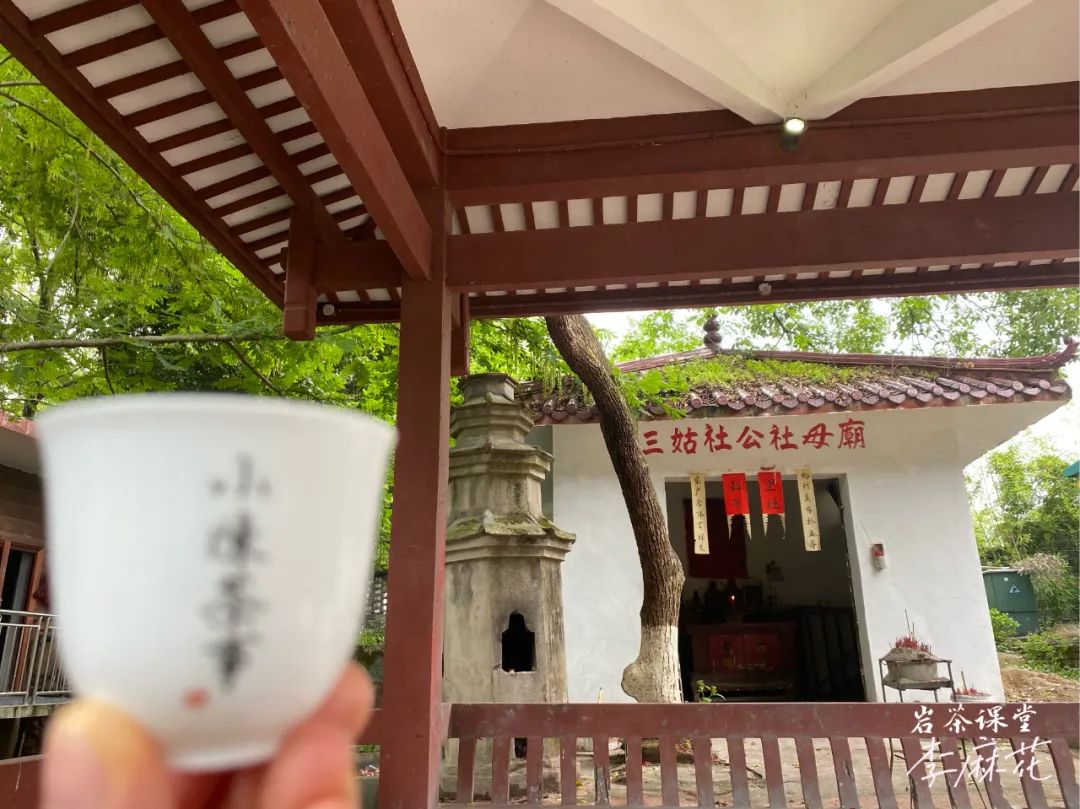 肉桂茶品牌排行（推荐3款最好喝的肉桂茶）