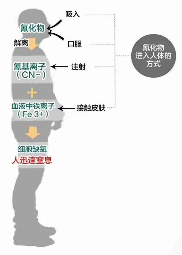 河南一男子开车用毒针射杀狗，村民吓得不敢动！毒狗针有多危险？