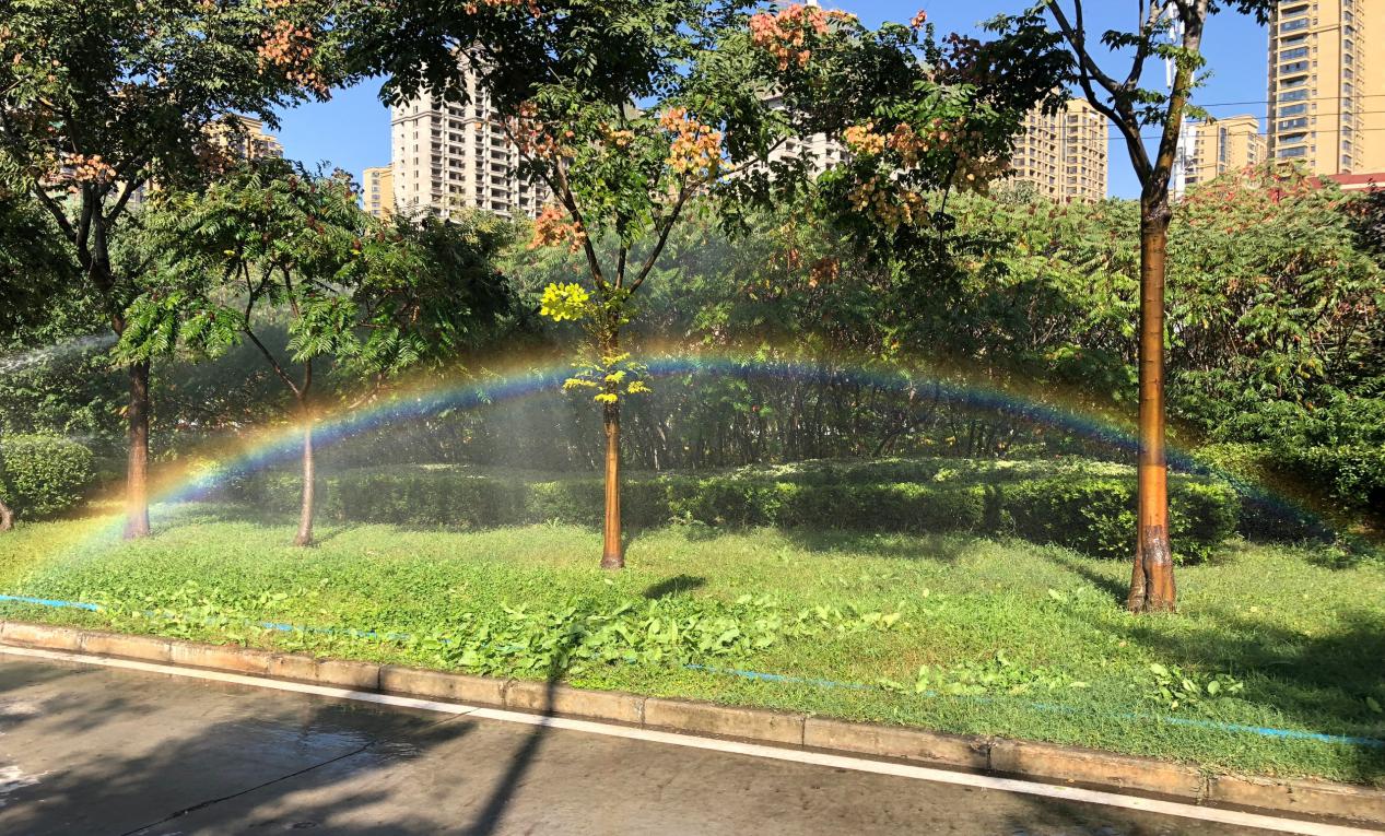 特等奖学金10000元！今天，长安大学2019级新生正式报到！