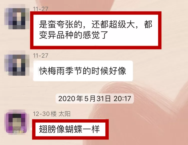 又到申城白蚁肆虐时，正规白蚁防治机构最新名单来了！灭蚁价格也能上网查哦