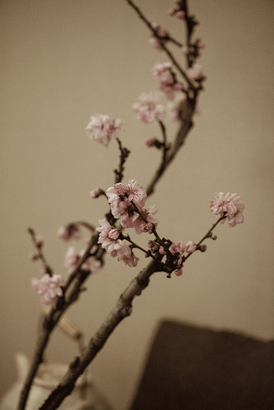 中国人的名字，藏着时代最特别的印记