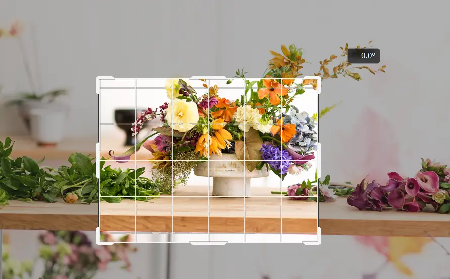 八：一分钟学会PS裁剪和调整图像大小