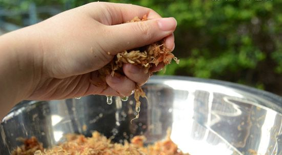 水苔养蝴蝶兰的方法（用水苔养护蝴蝶兰的技巧）