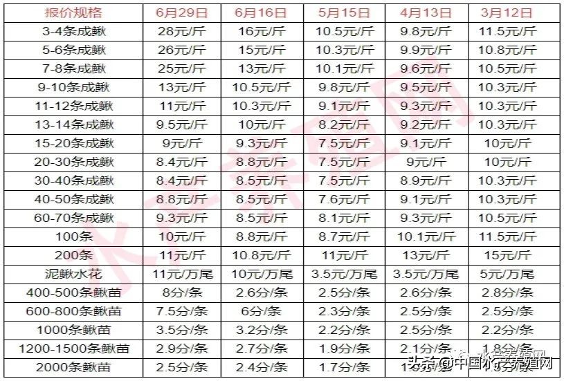 泥鰍苗多少錢一斤,臺灣泥鰍苗多少錢一斤