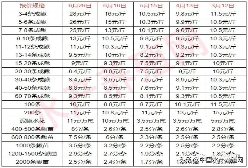 泥鳅苗多少钱一斤,台湾泥鳅苗多少钱一斤