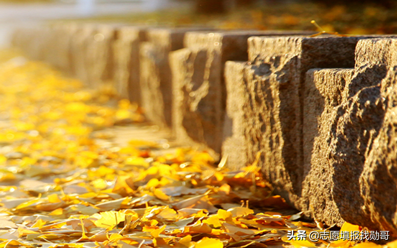 东北财经大学地址（这所财经大学）