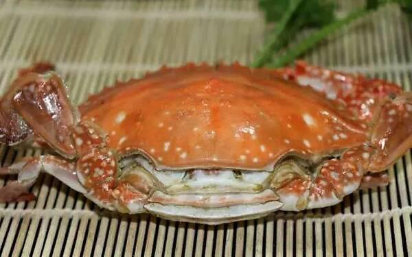 中国城市｜河北省—唐山市