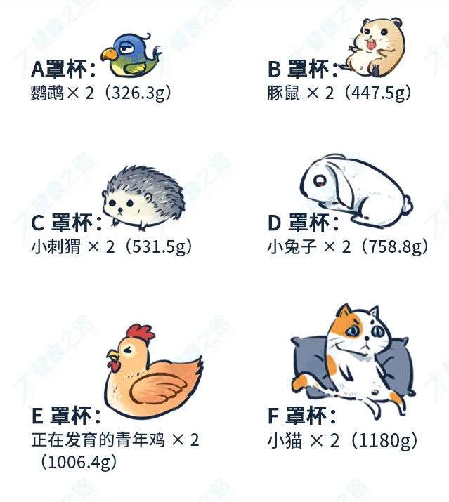 胸太小，多揉多捏就能变大？别着急，看完就知道了