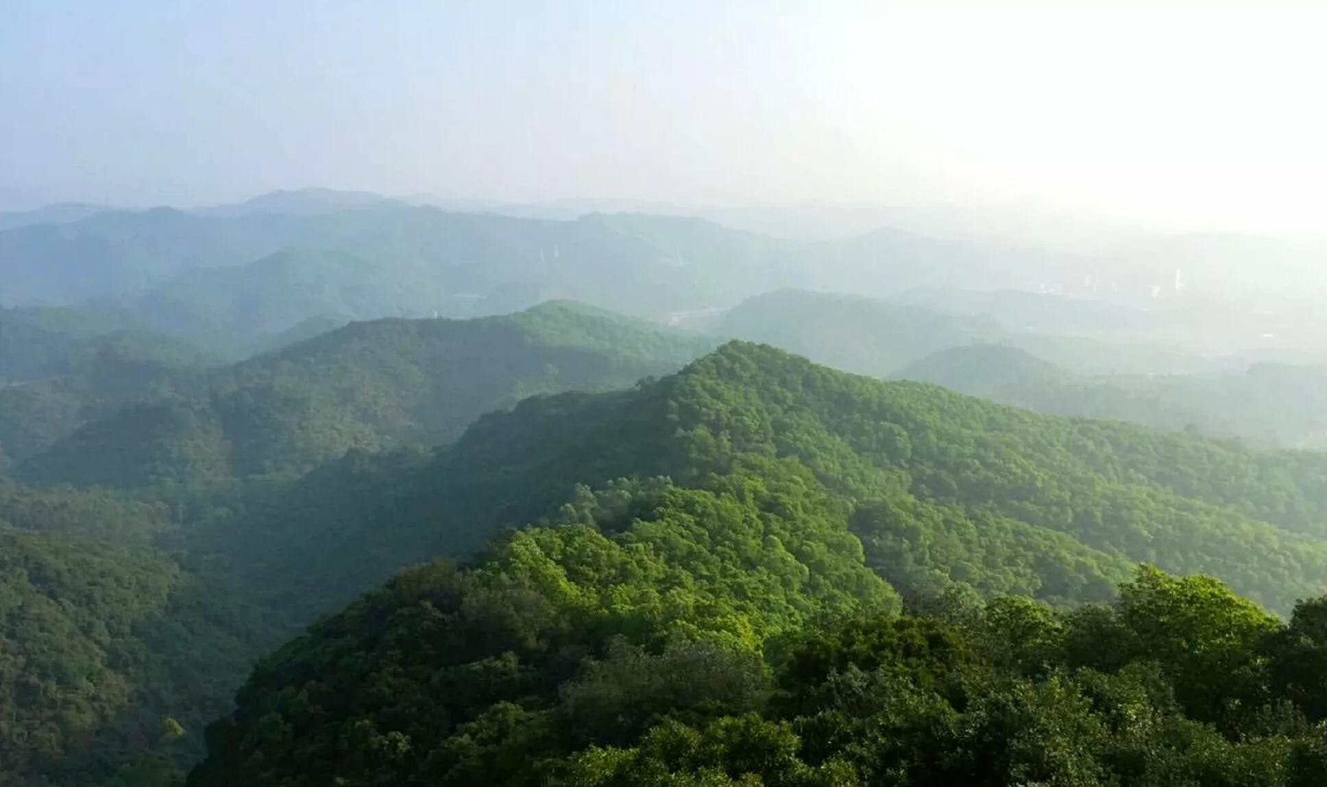 东莞7座免费山峰，景美人少故事多，可能你还没来过