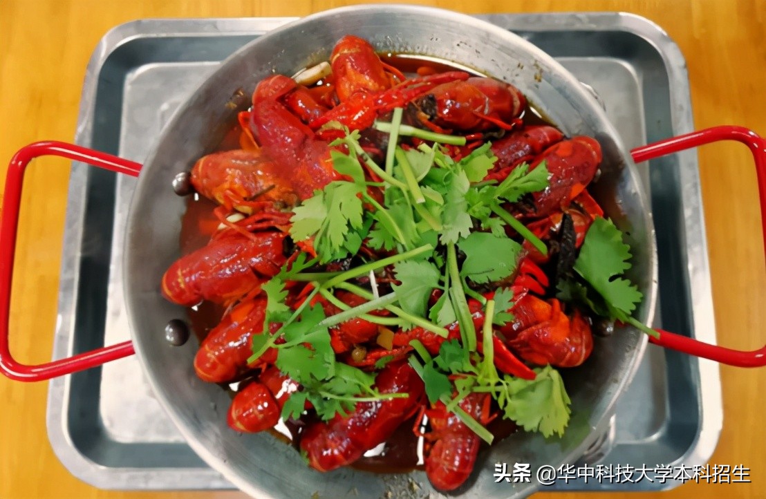 神仙配置！坐拥36个食堂和4个地铁站，湖北“最壕”大学来了！