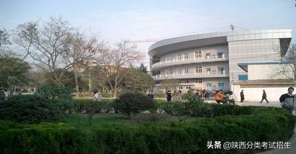 陕西工业职业技术学院2020年示范高职院校单独考试招生章程