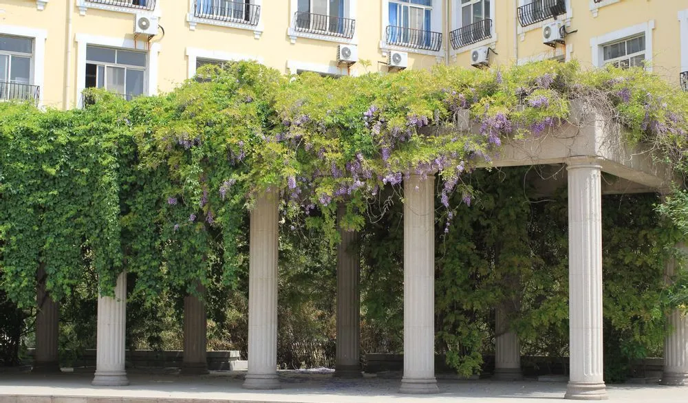 学姐带你看院校｜河北东方学院