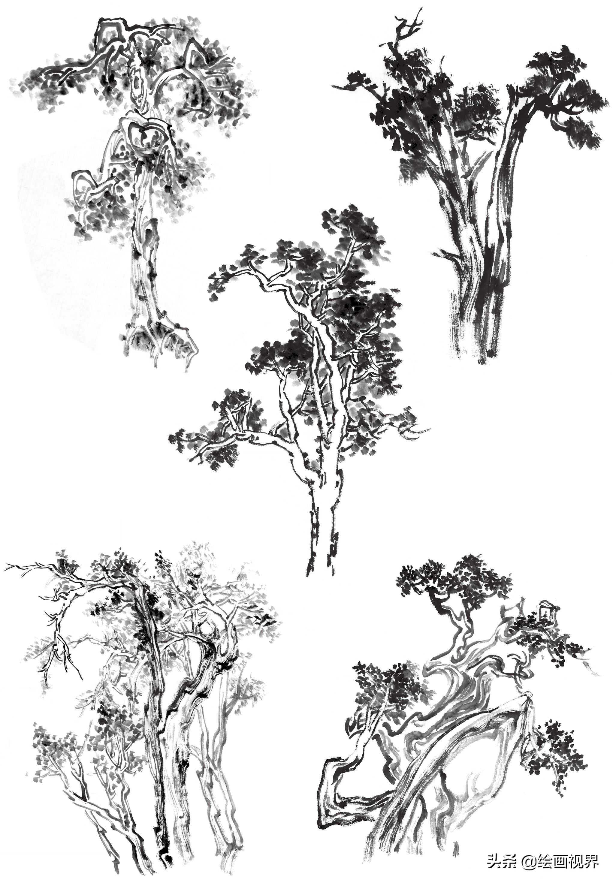 怎么画树(画国画树不会画)