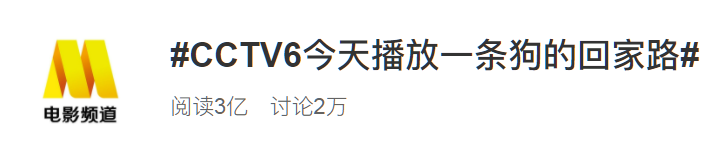 CCTV6内涵骂人登热搜第一？网友：你永远可以相信六公主