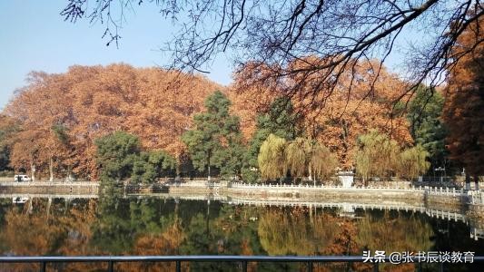 武汉大学，2020年武汉大学高考分数线预测！家长：武大实力就是强