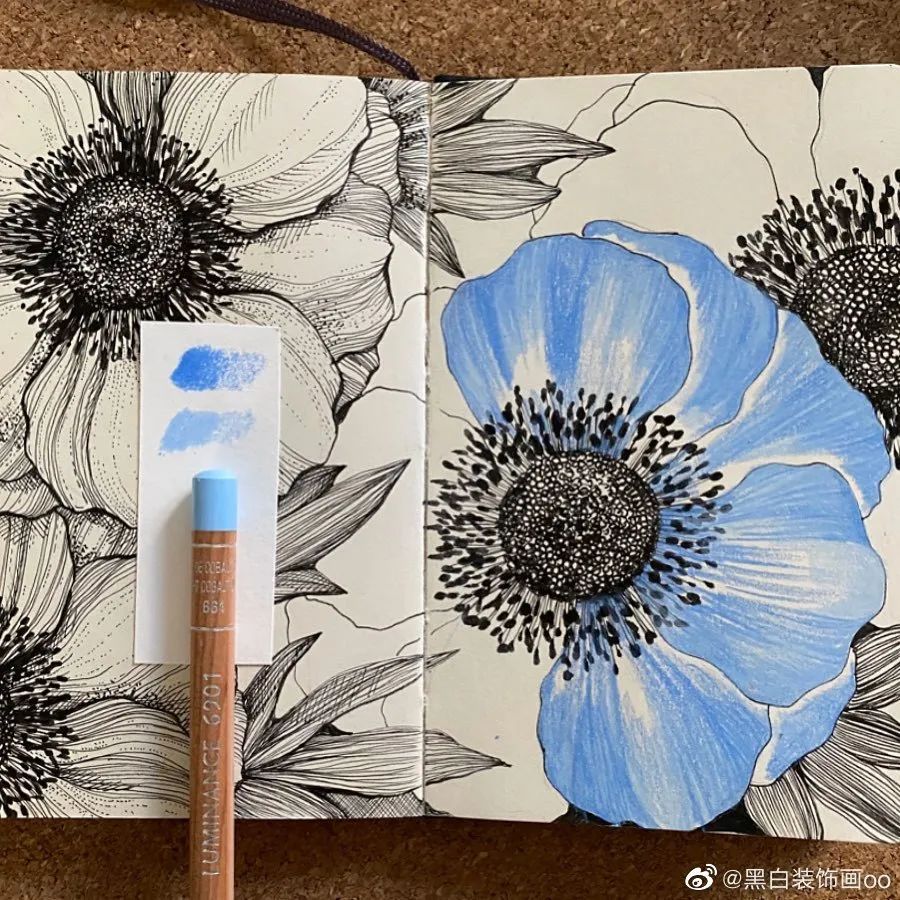 自动铅笔勾线:针管笔,彩色针管笔上色:24色油性彩铅,白色高光笔纸张