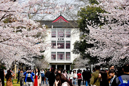 南京林业大学研究生专业目录「参考」