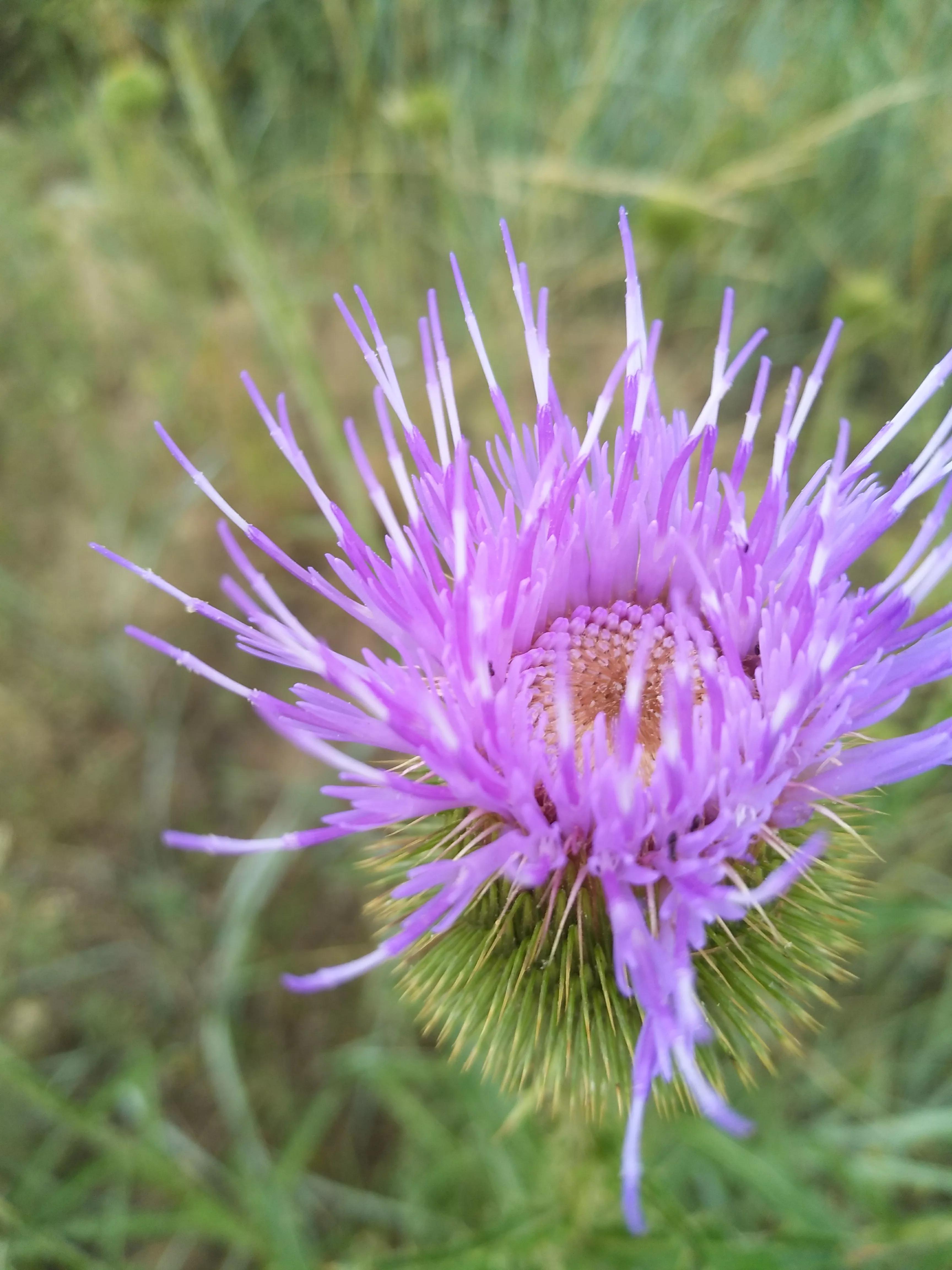 致已不再年轻的自己十句话