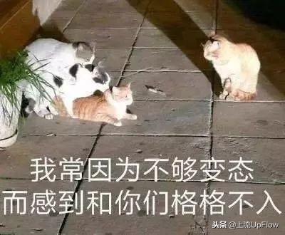 校园雕塑，当代大学生的快乐源泉！