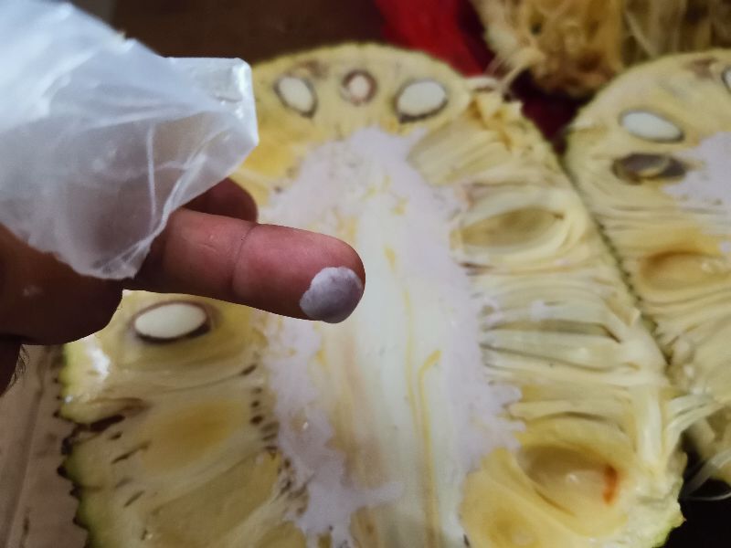 菠萝蜜的胶粘在手上怎么洗掉？以下这3种方法最实用-第1张图片