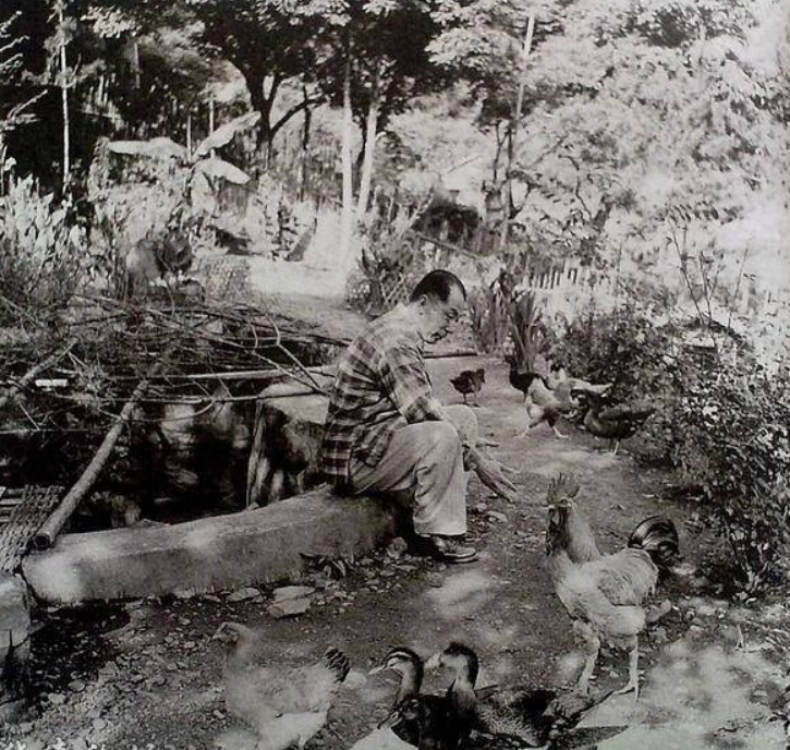 2001年张学良葬礼上，老管家公开两个数字，揭开少帅在台湾的无奈