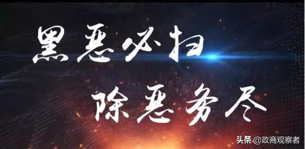 扫黑除恶斗争已经常态化，高层决心整治这些行业领域