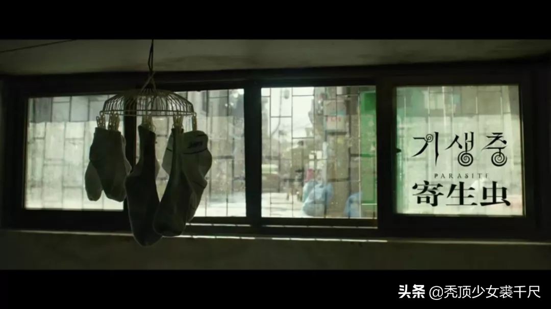 火爆朋友圈的《寄生虫》，为什么被封为2019必看的韩国电影？