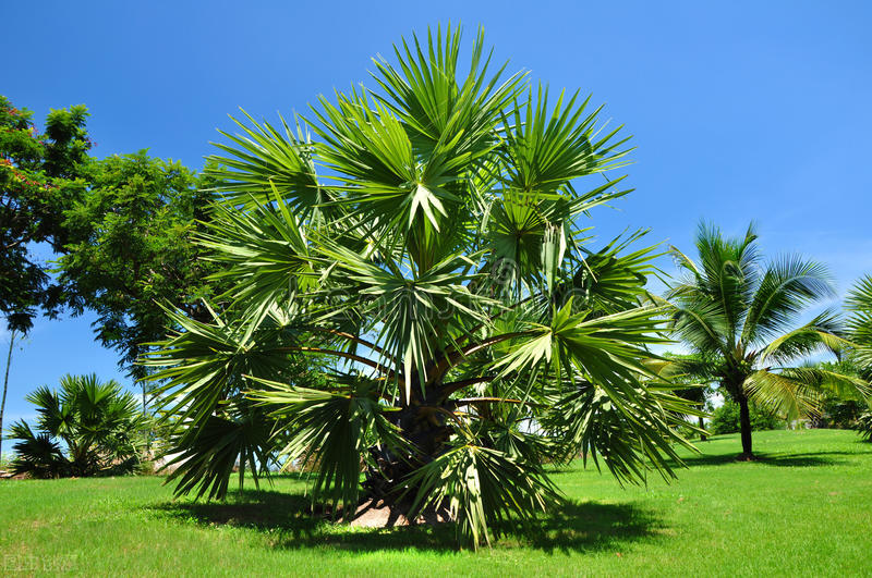 读故事闯三关，巧记六级词汇（34）