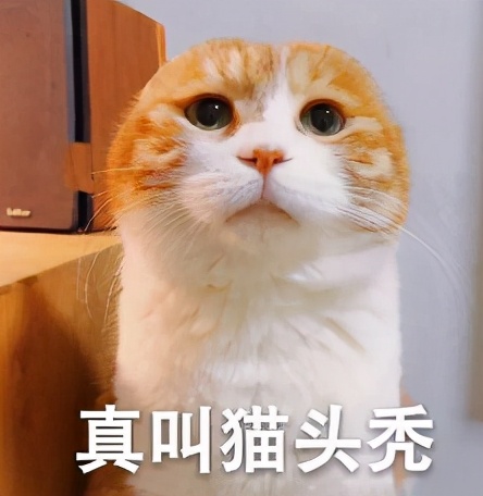 送给妈妈的礼物（送给妈妈的礼物什么比较好）