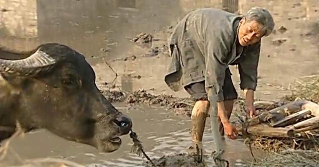 《活着》：从主角苦难的一生中得到的五个人生至理