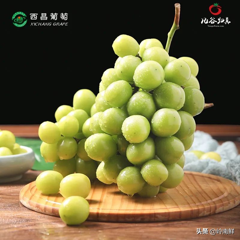 日本晴王葡萄太贵？价格减半的中国晴王它不香吗