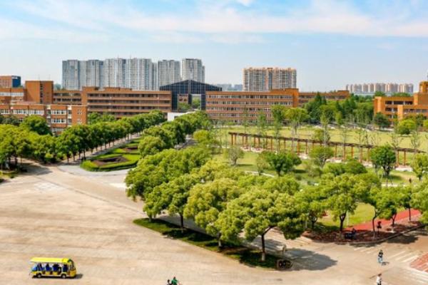 恭喜！宁波市这一区被选中，迎来一研究型大学，投资高达460亿元