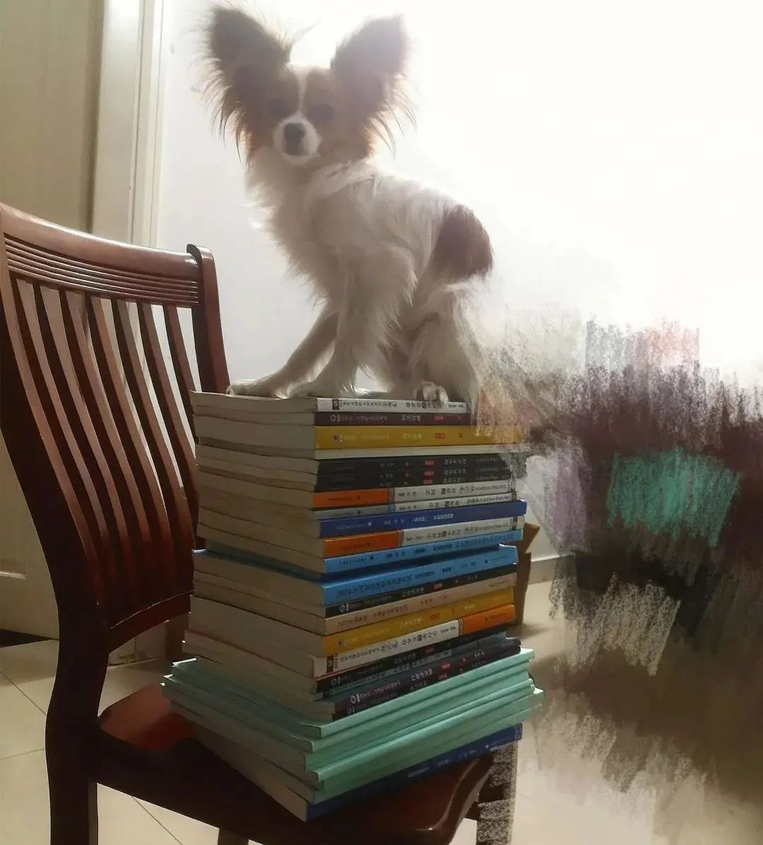 “我来自负1000米深井！” 备战法考，你可能不是最难的那个……